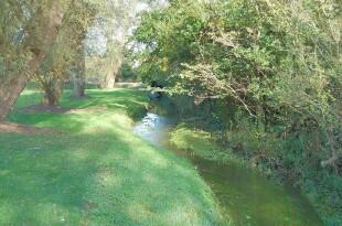 Stream