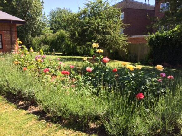 GROUNDS