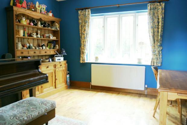 Photo 7