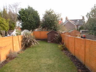 garden