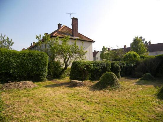 Garden (2)