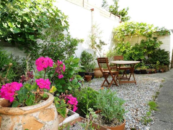 garden2.JPG