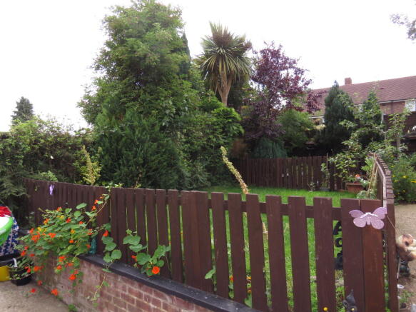Photo 13