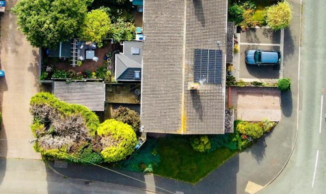 Plot View