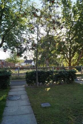 Photo 13