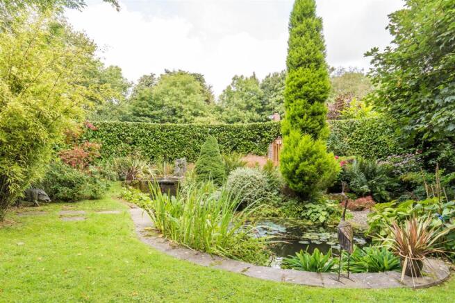 Water Garden.jpg