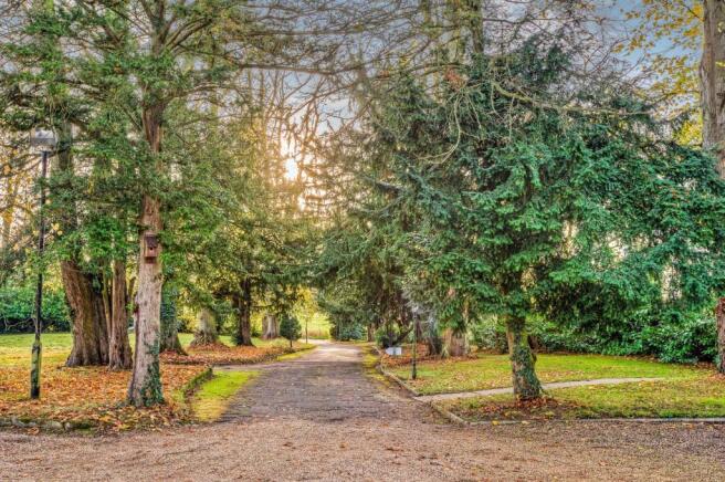 Driveway
