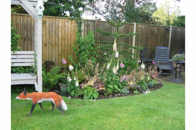 Photo 22