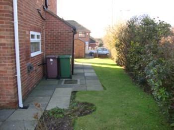 Side Garden