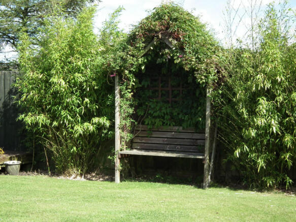 Picture 10