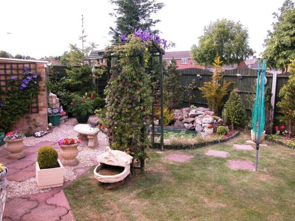 Photo 11