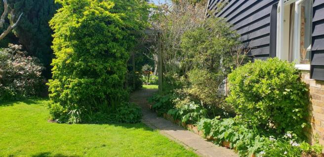 Garden (15)