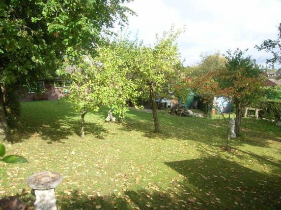 Garden 2