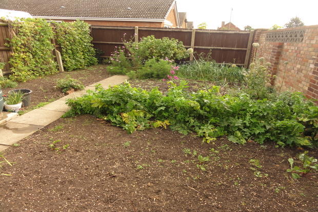 VEGETABLE PLOT