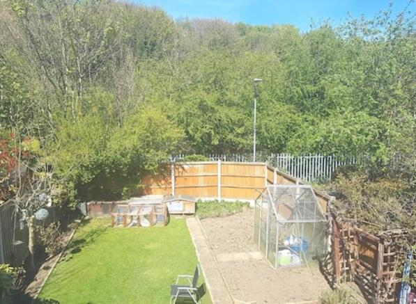 Back Garden 