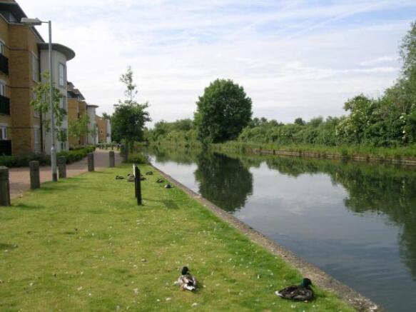 Photo 13