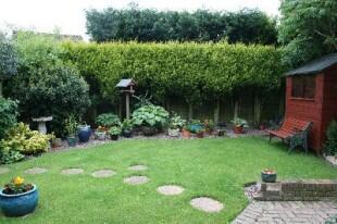 Photo 24