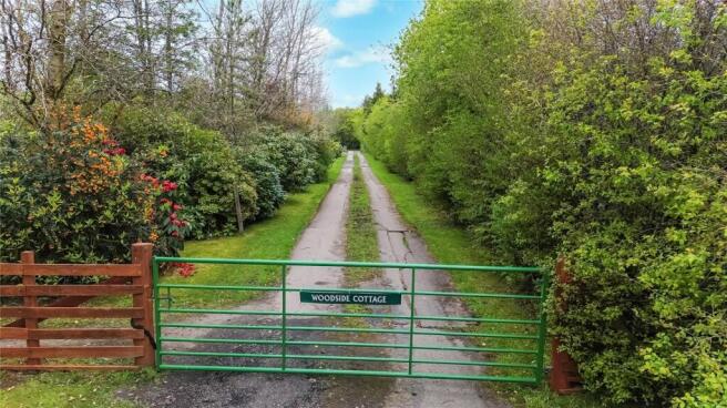 Driveway