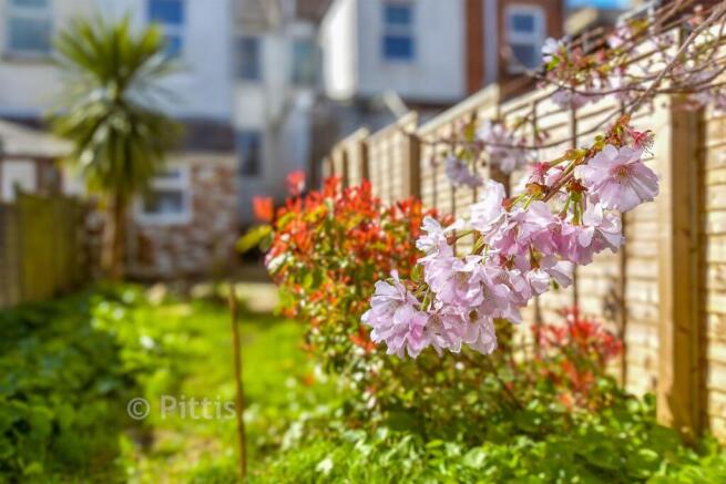 External Lifestyle Photograph