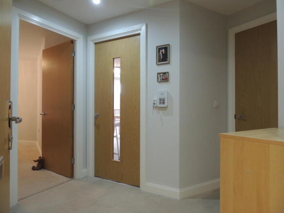DSCN6537.JPG