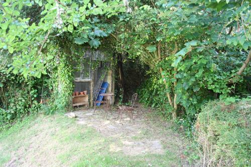 Photo 20