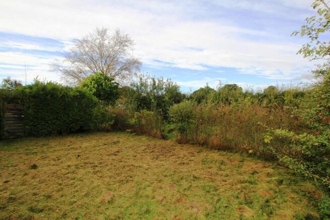 The garden mid se...