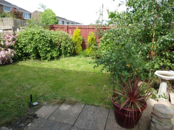 Photo 15