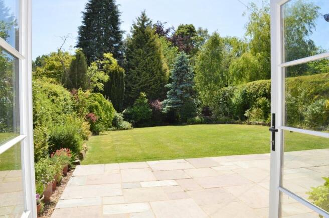 View of garden