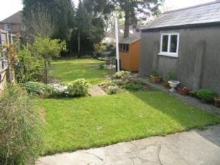 garden