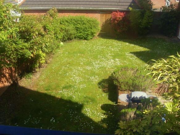 View from Balcony