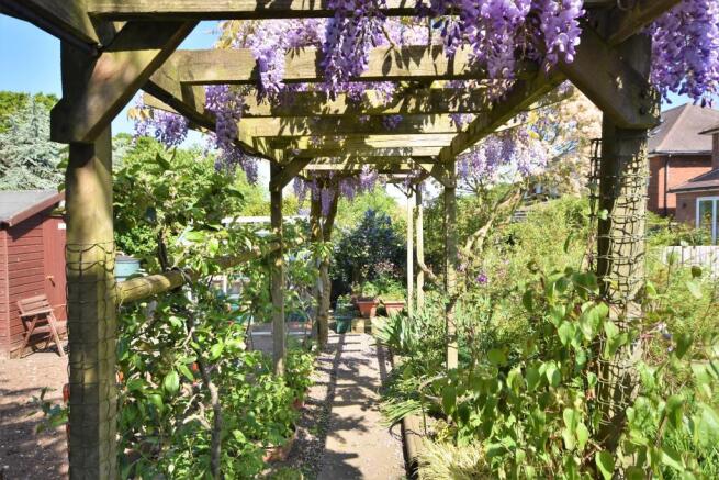 Rear Garden 3