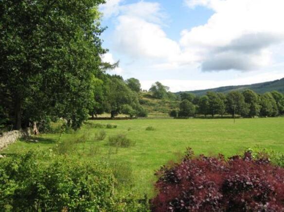 View From Garden