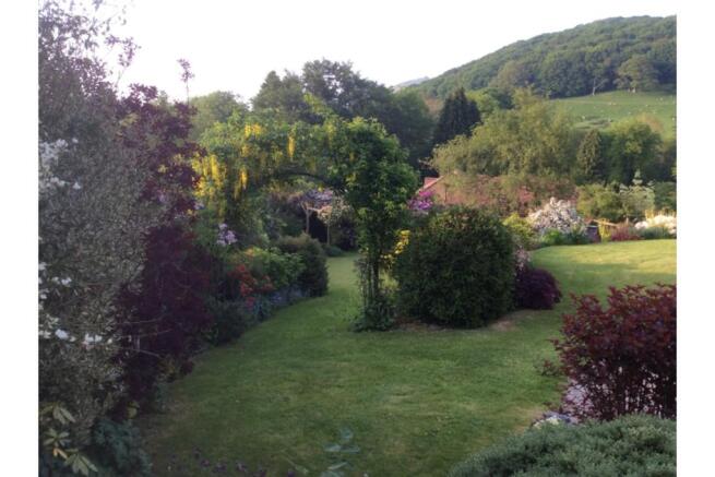 Mature Garden