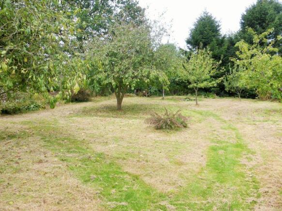 Orchard