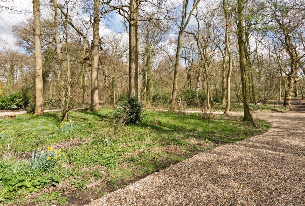 Woodland