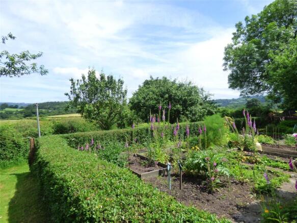 Vegetable Garden