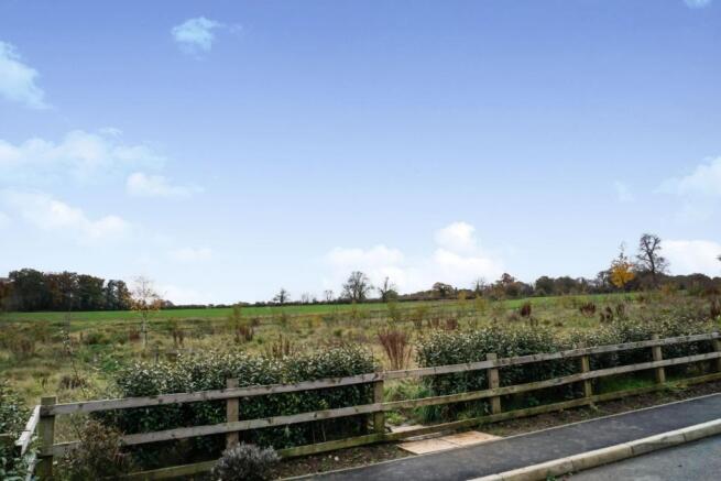 Field