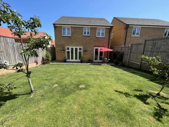 Back Garden