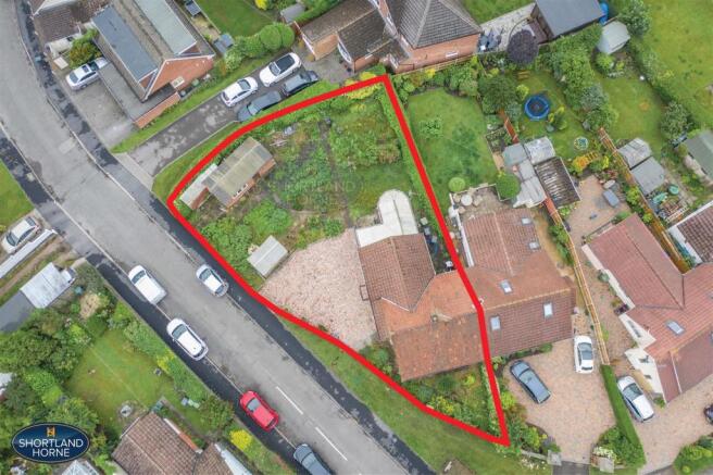 red outline of plot 2.jpg