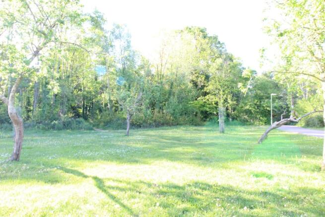 Copse