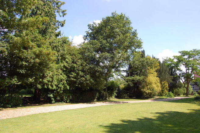 Photo 20
