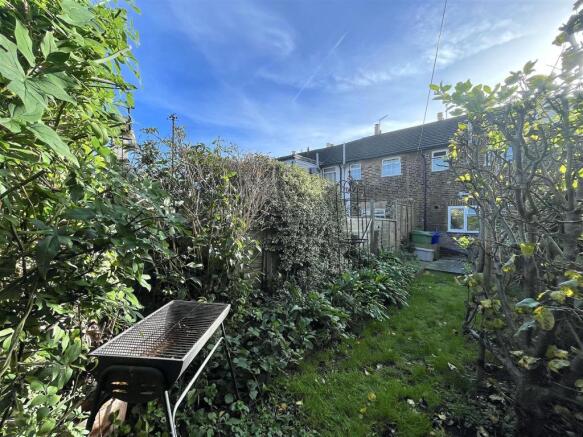 Garden (6).jpeg