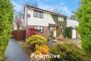 12, Grove Park Drive, Newport NP20 6YE