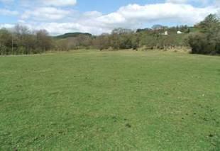 The Land