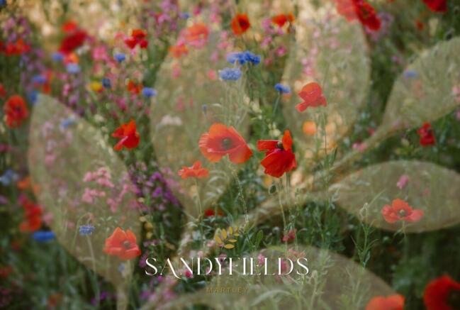 Flowers Sandyfields