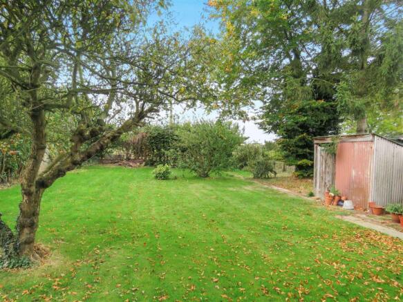 Garden 1.JPG