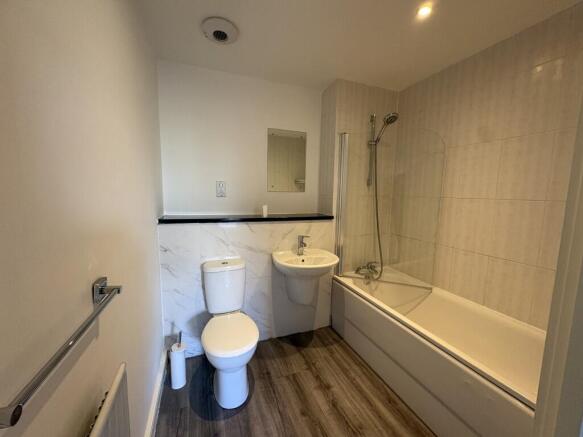 3 Medium T202606241647.jpg