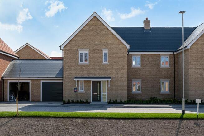The Blackbird