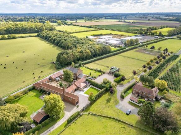 Aerial Shot