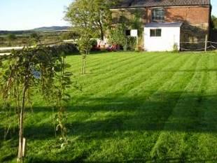 The Garden